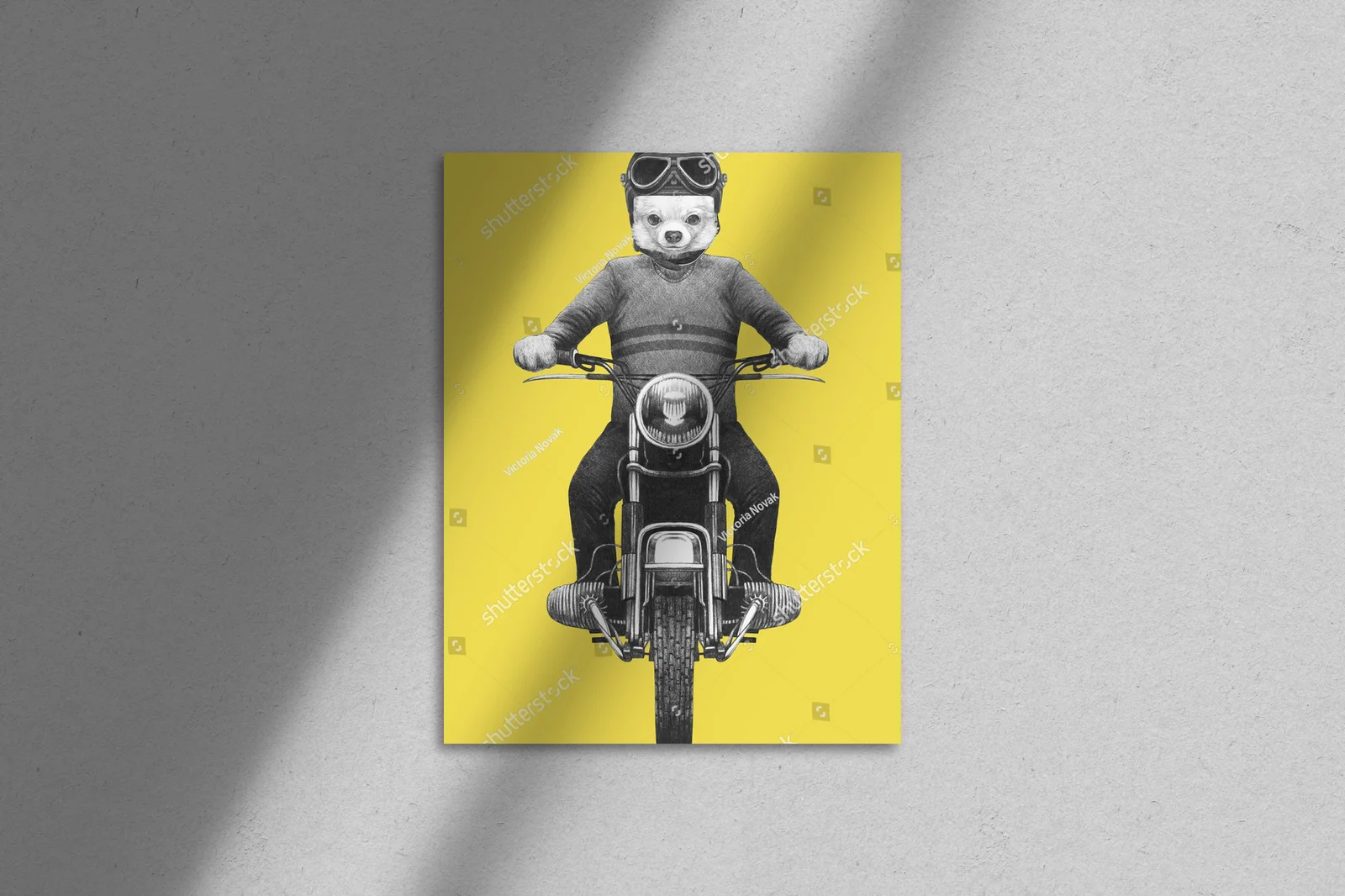 Chihuahua na motocyklu w sentymentalnym stylu