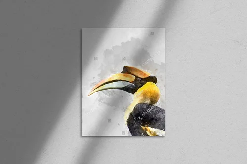 Zjawiskowy hornbill w odcieniach leśnej szarości