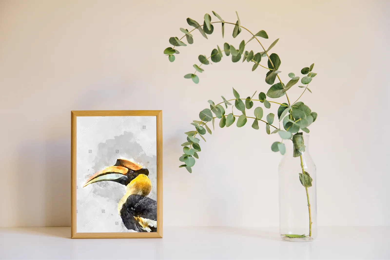 Zjawiskowy hornbill w odcieniach leśnej szarości