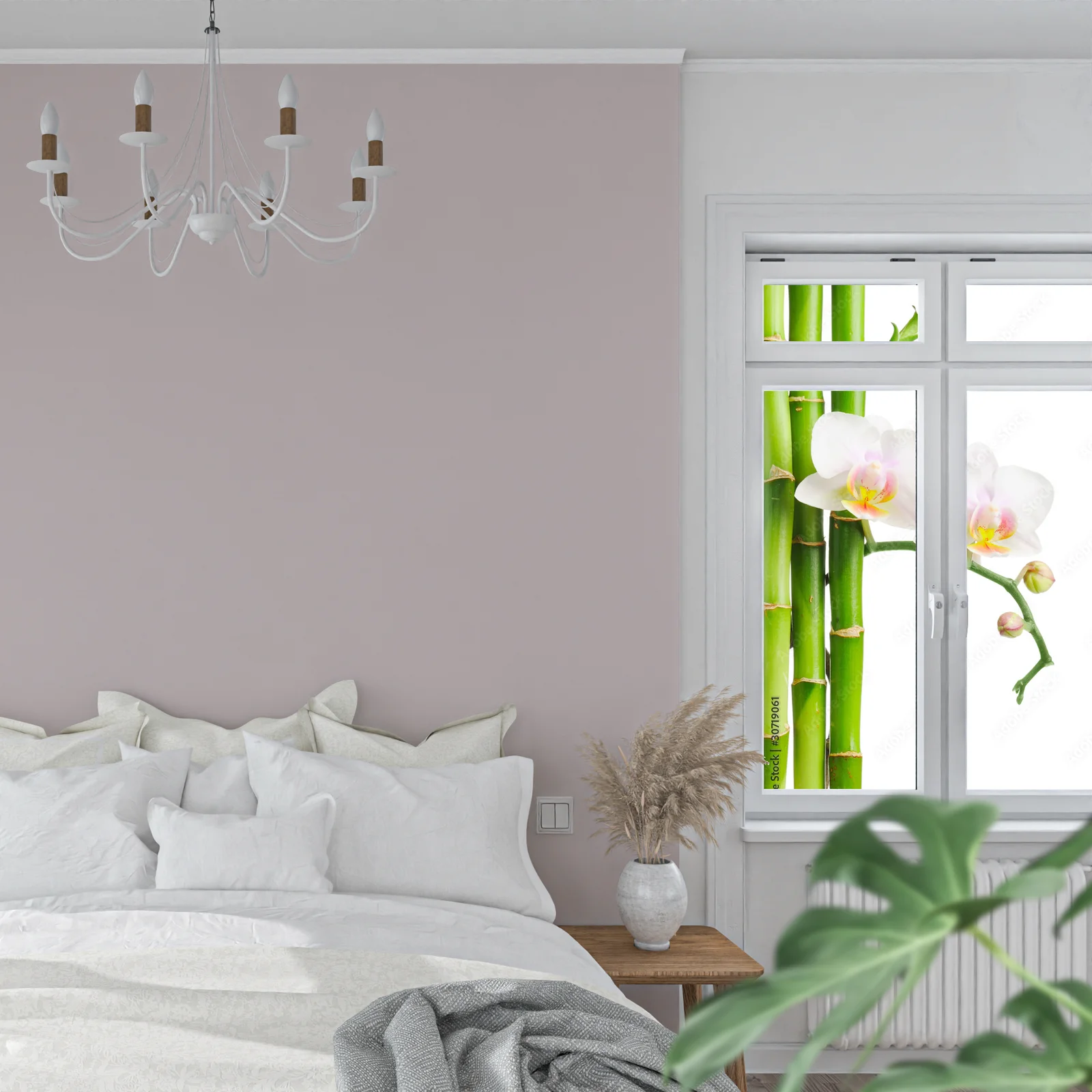 Elegancja orchidei: biały powiew naturalności