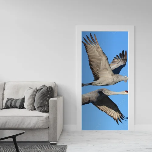 Elegancja w błękicie: Grus canadensis w szlachetnych tonacjach
