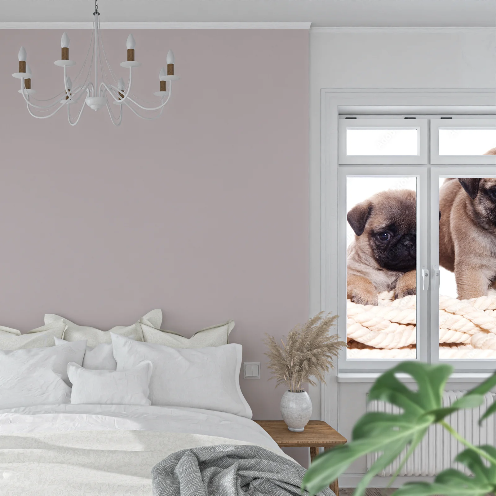 Uroczy Pug w harmonii bieli