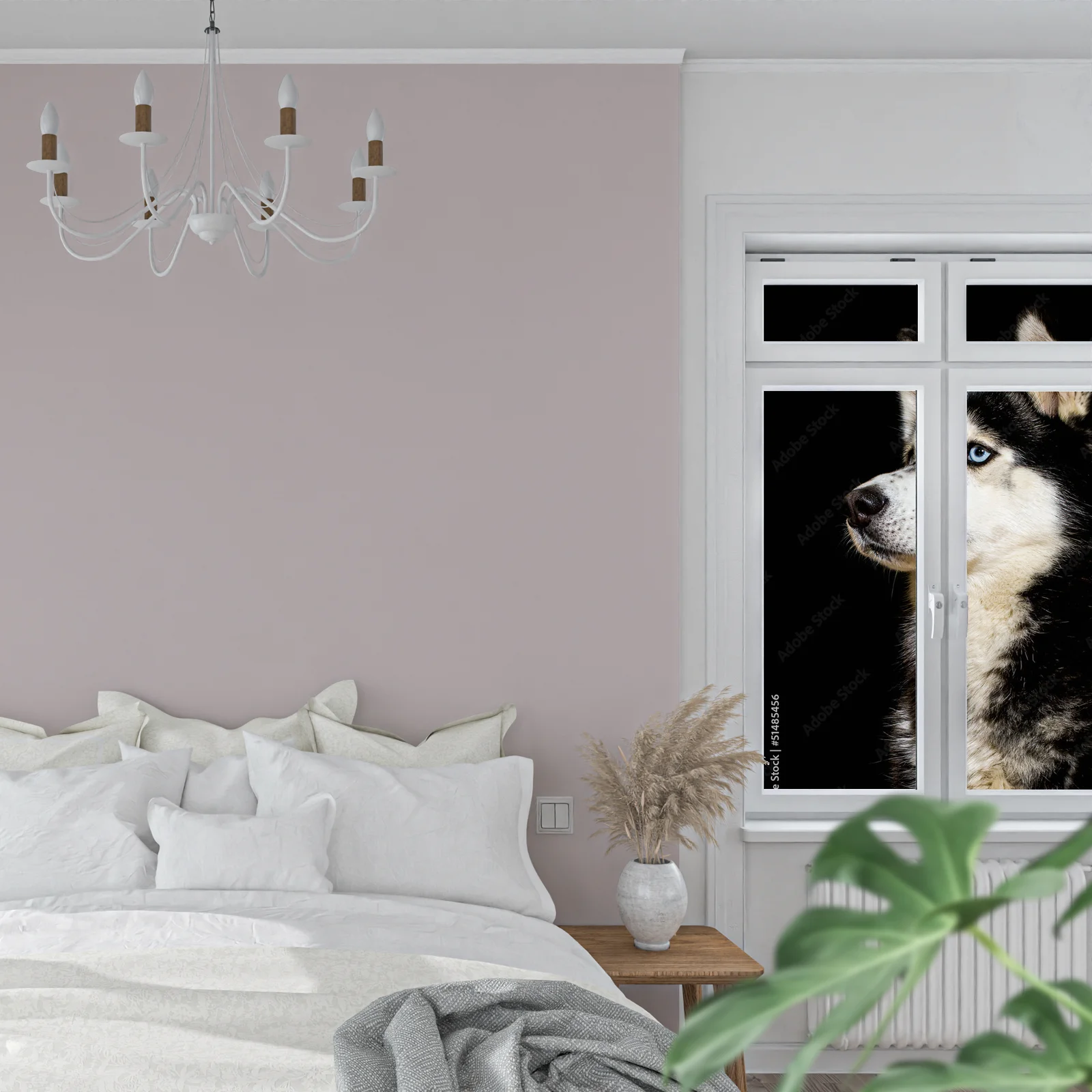 Siberian Husky w zjawiskowej scenerii nocnej