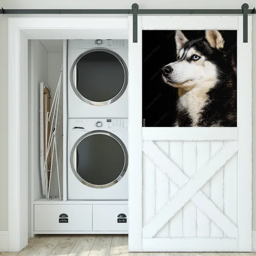 Siberian Husky w zjawiskowej scenerii nocnej