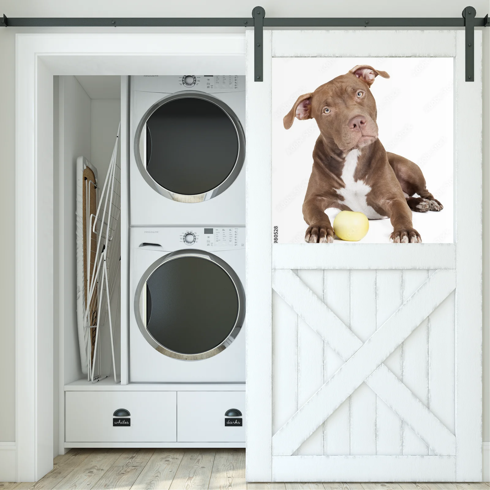 Wspaniały pit bull w białym blasku z jabłkiem