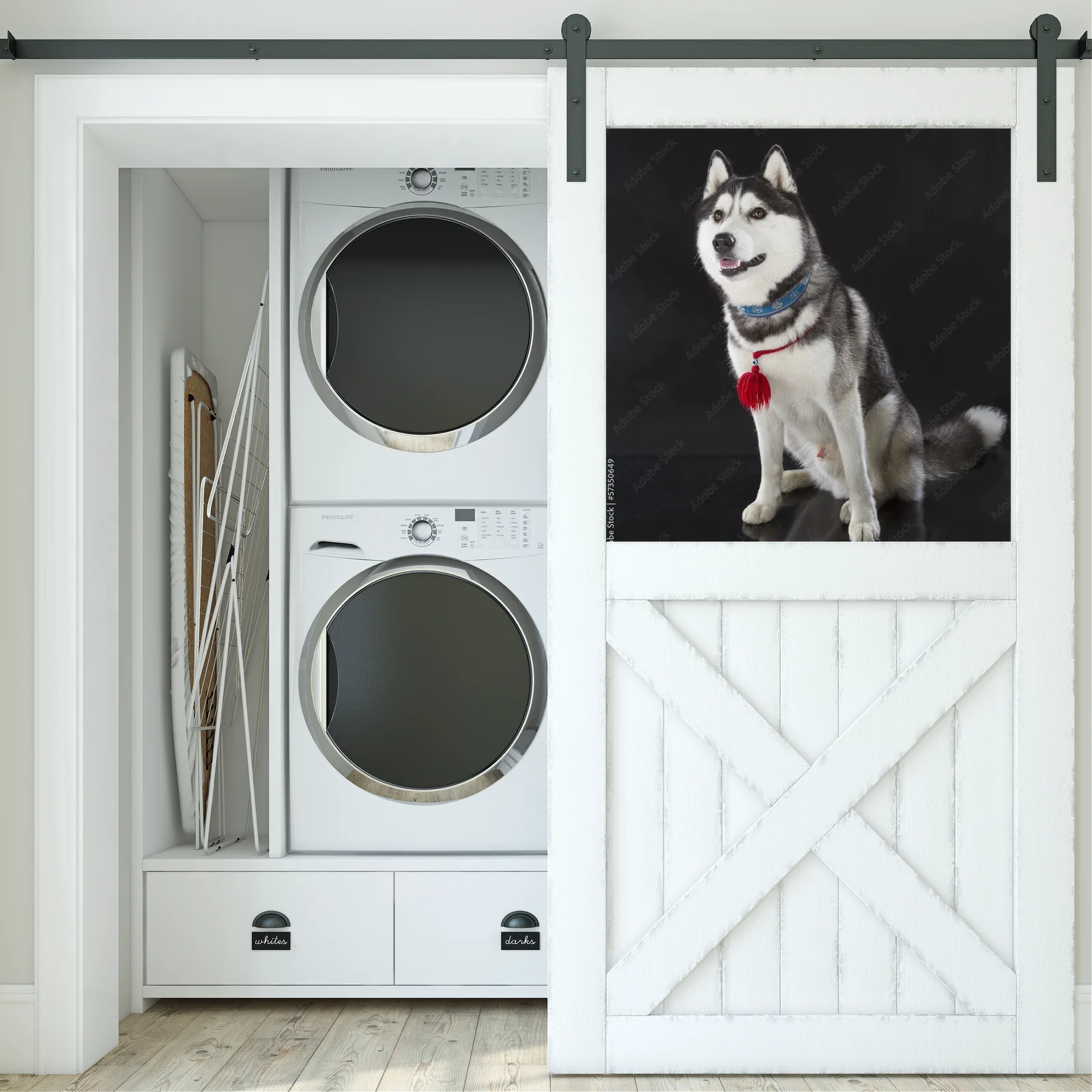 Urok syberyjskiego husky na głębokim tle