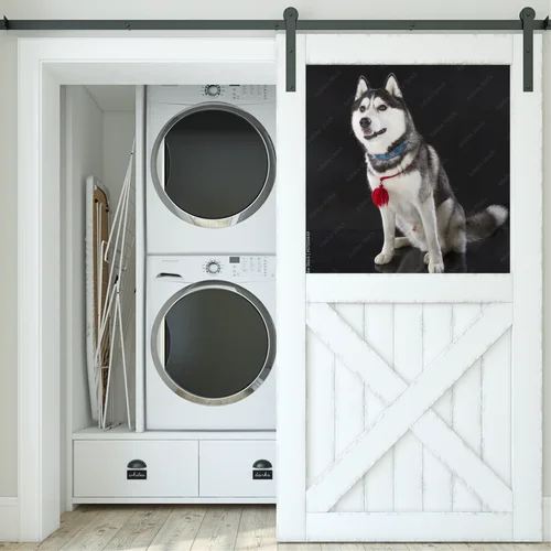 Urok syberyjskiego husky na głębokim tle