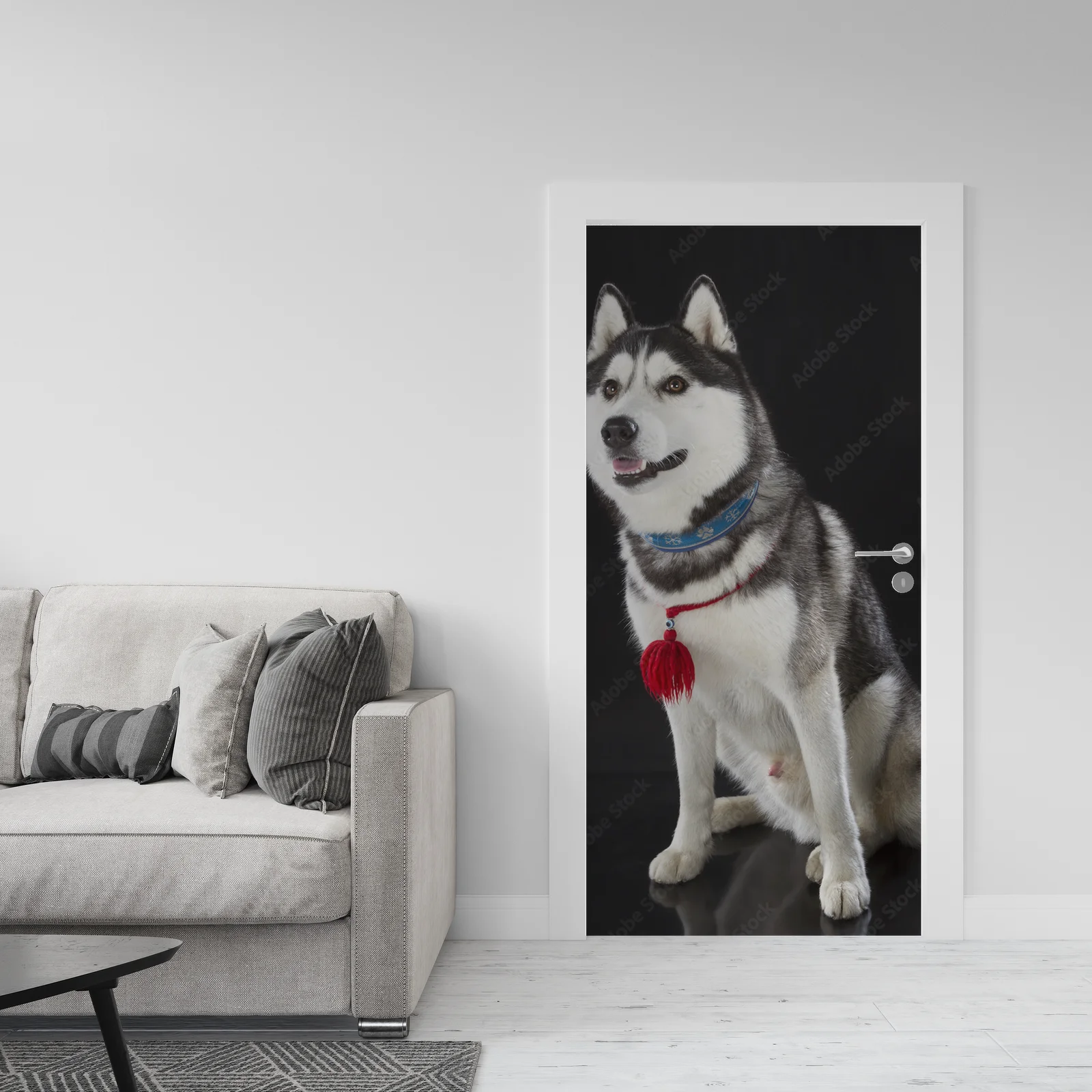 Urok syberyjskiego husky na głębokim tle