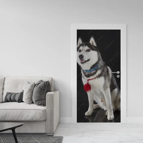 Urok syberyjskiego husky na głębokim tle