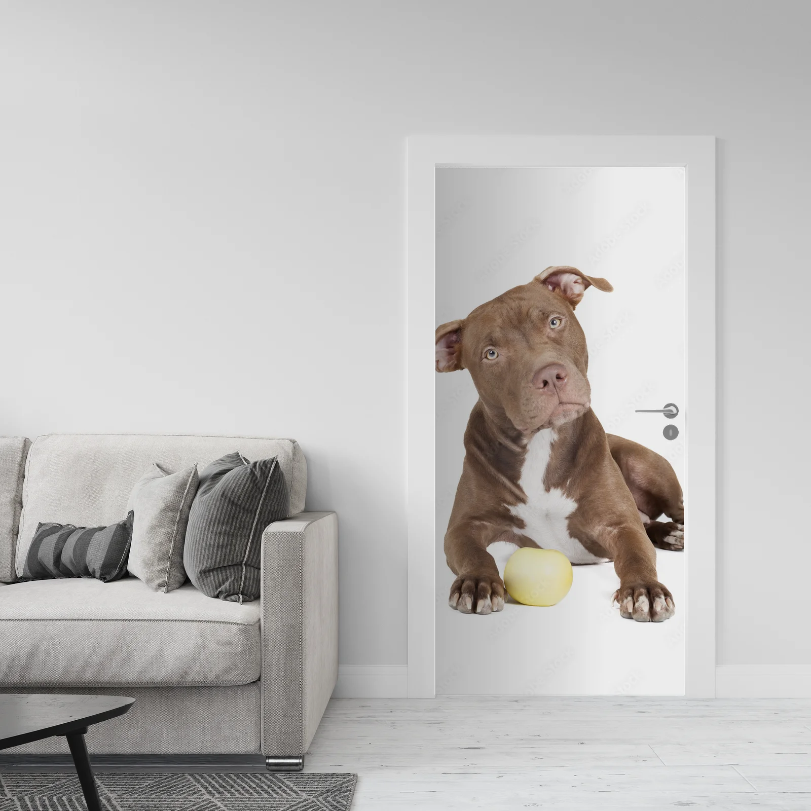 Wspaniały pit bull w białym blasku z jabłkiem