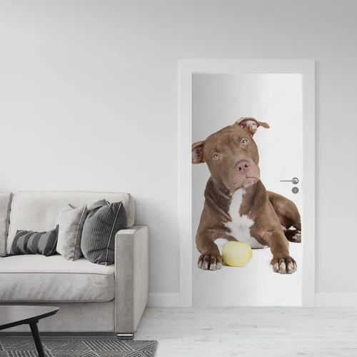 Wspaniały pit bull w białym blasku z jabłkiem