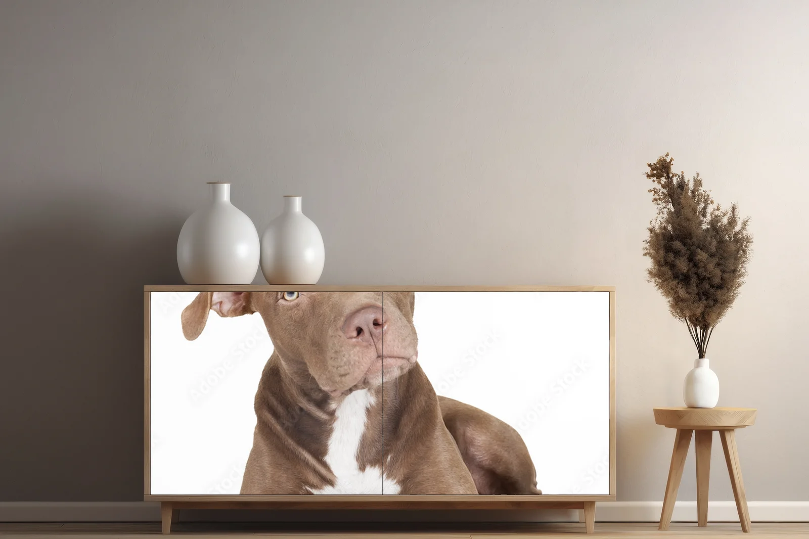 Wspaniały pit bull w białym blasku z jabłkiem
