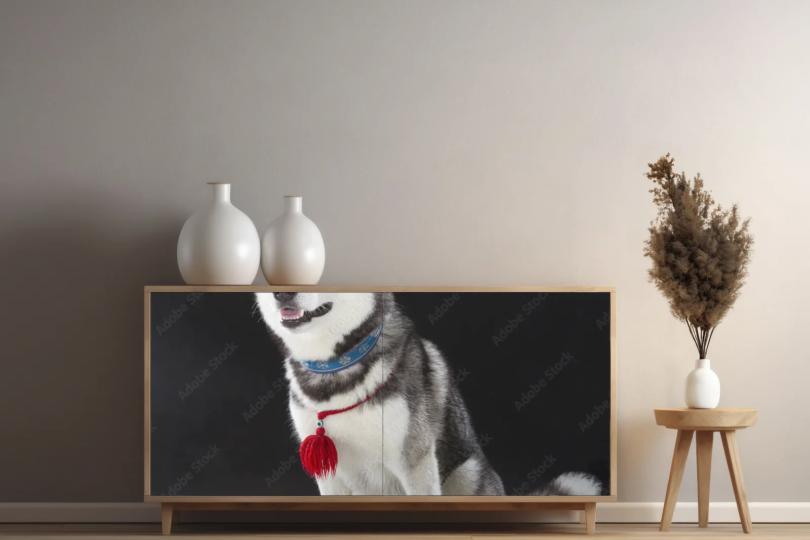 Urok syberyjskiego husky na głębokim tle