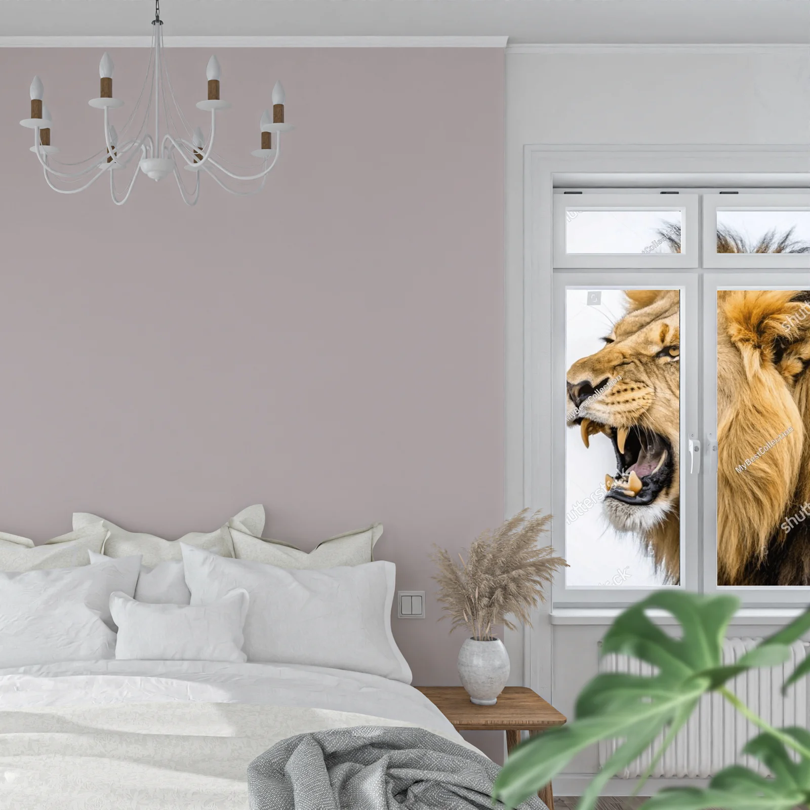 Władca sawanny: Roaring Lion w emocjonalnej aranżacji