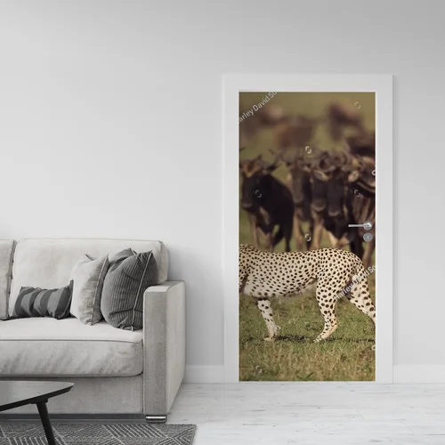 Zderzenie z dziką naturą: cheetah na safari