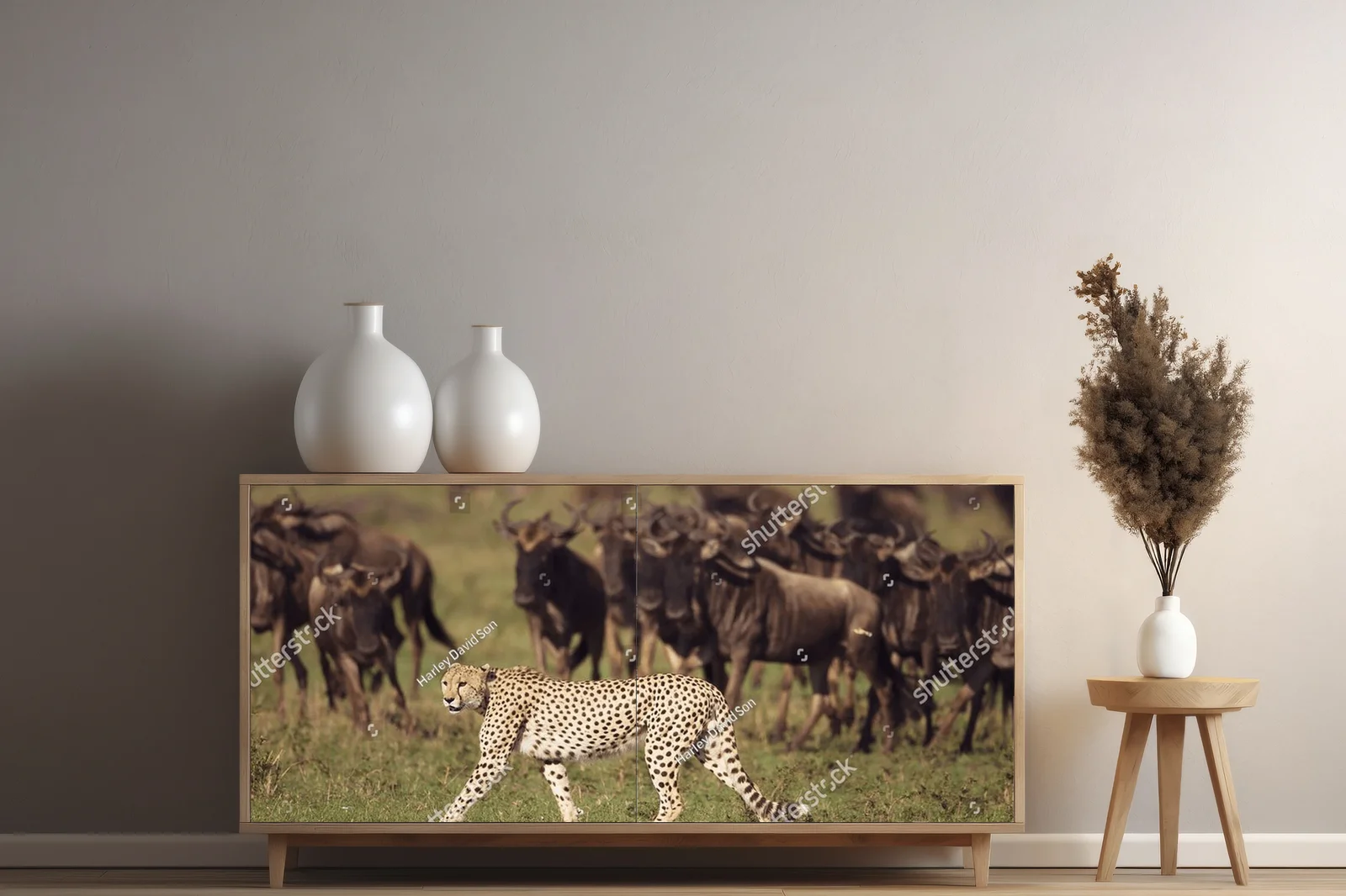 Zderzenie z dziką naturą: cheetah na safari