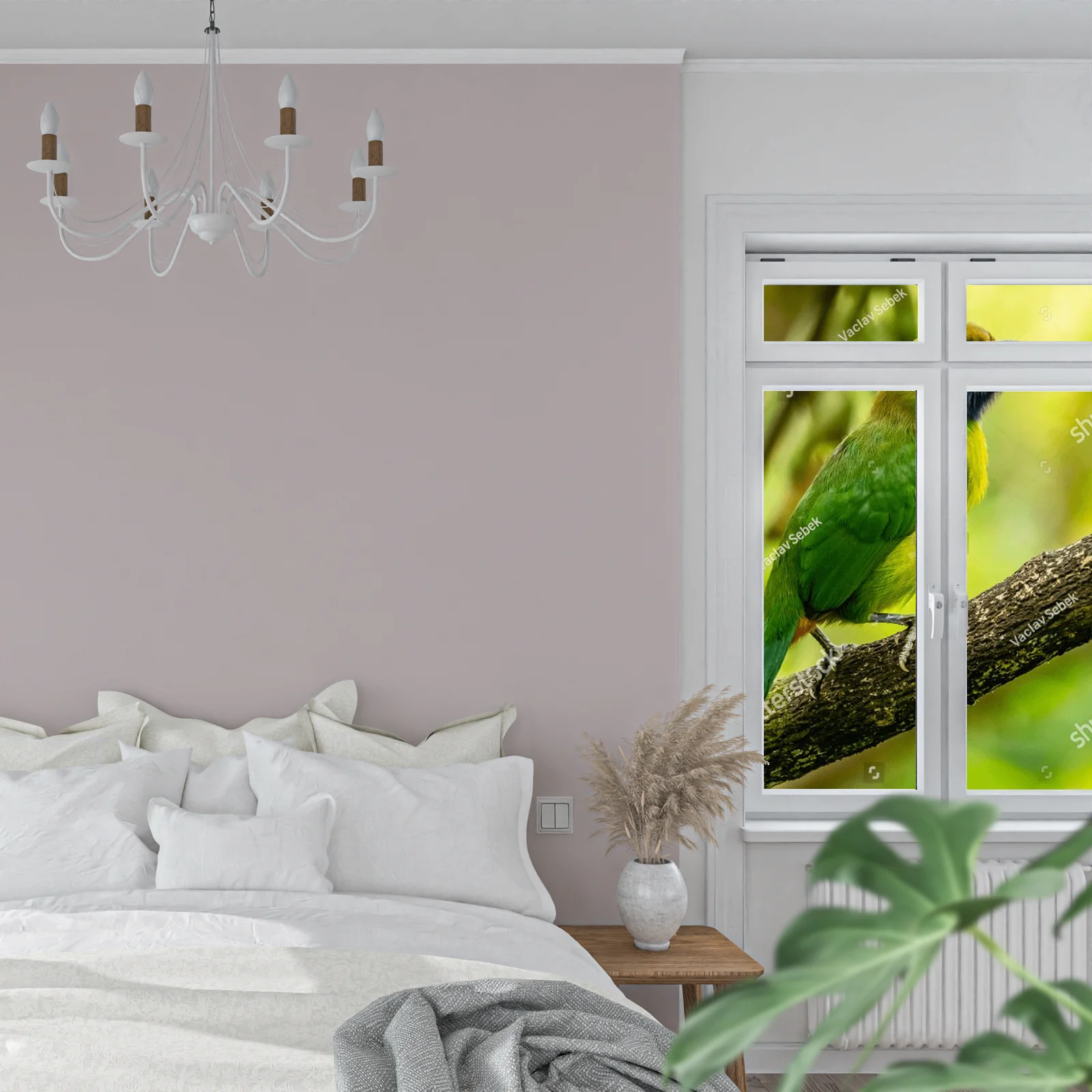 Tropical Adventure: The Crimson-rumped Toucanet
