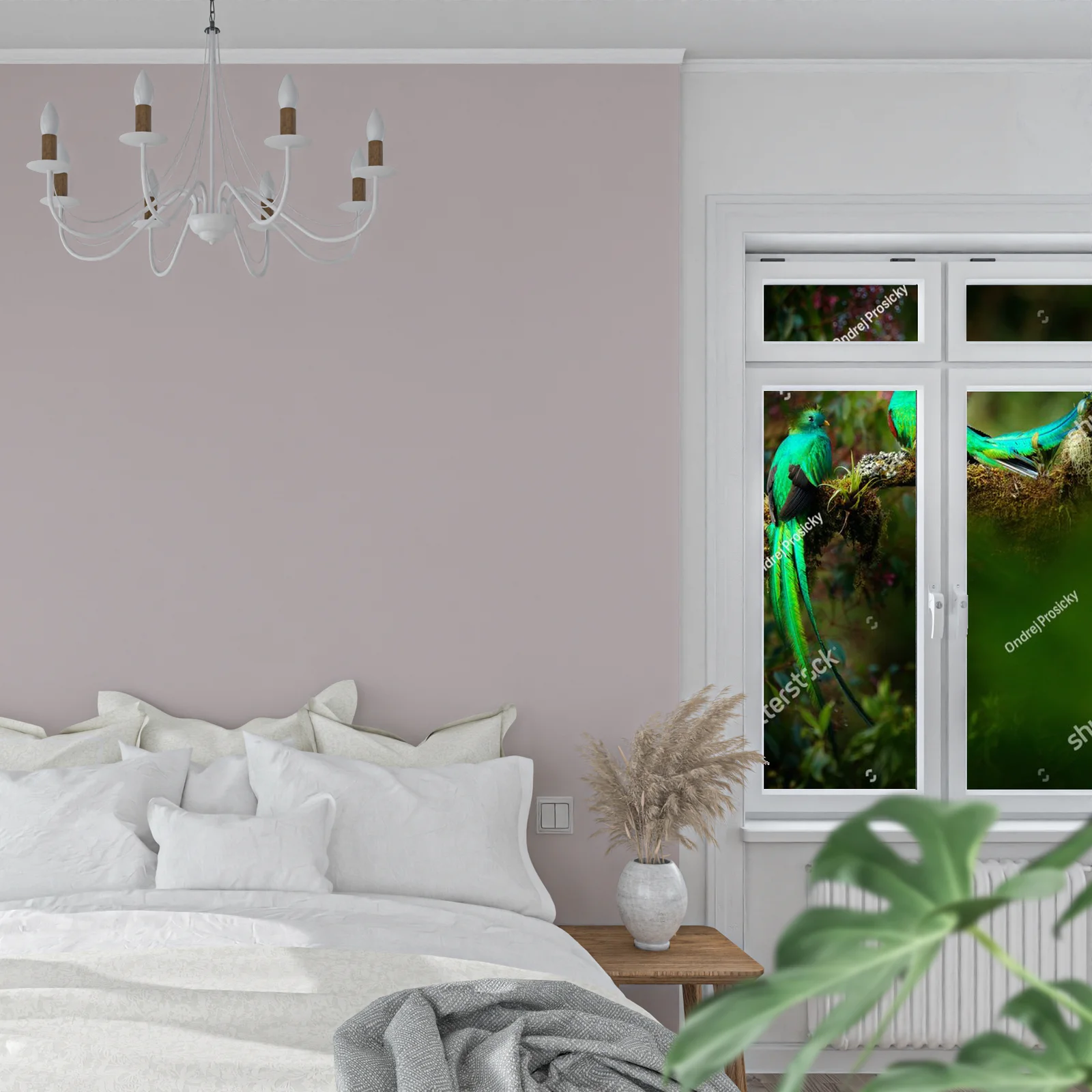 Tropikalna harmonia: quetzale w leśnej scenerii