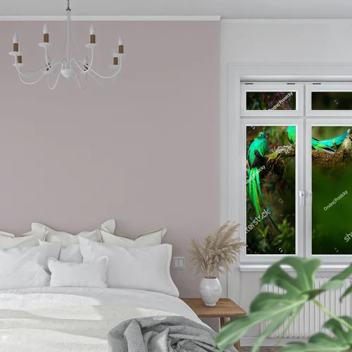 Tropikalna harmonia: quetzale w leśnej scenerii
