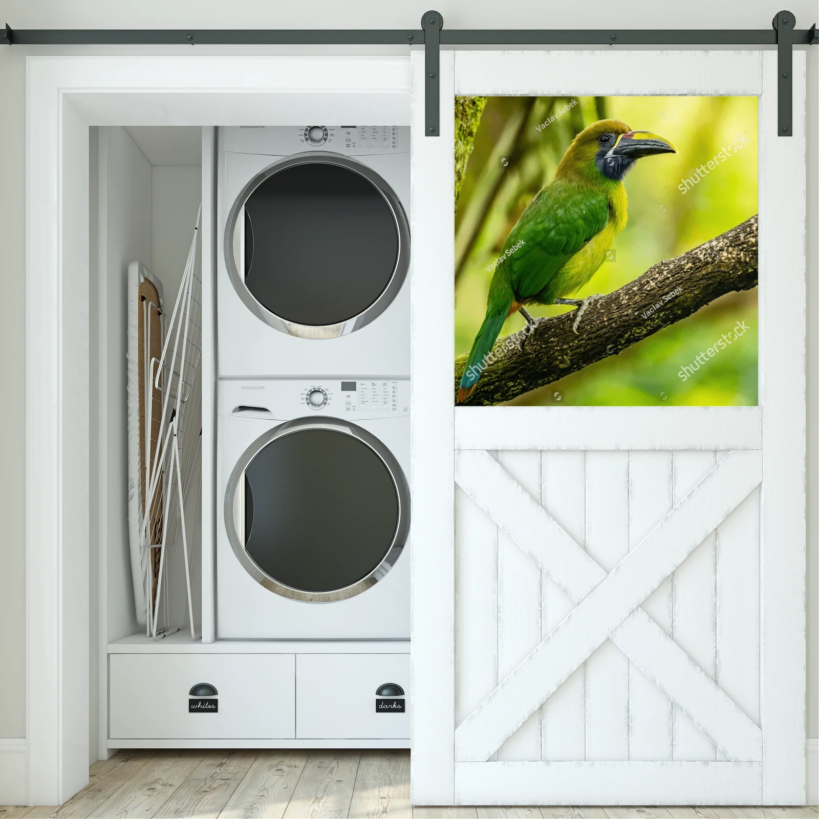 Tropical Adventure: The Crimson-rumped Toucanet