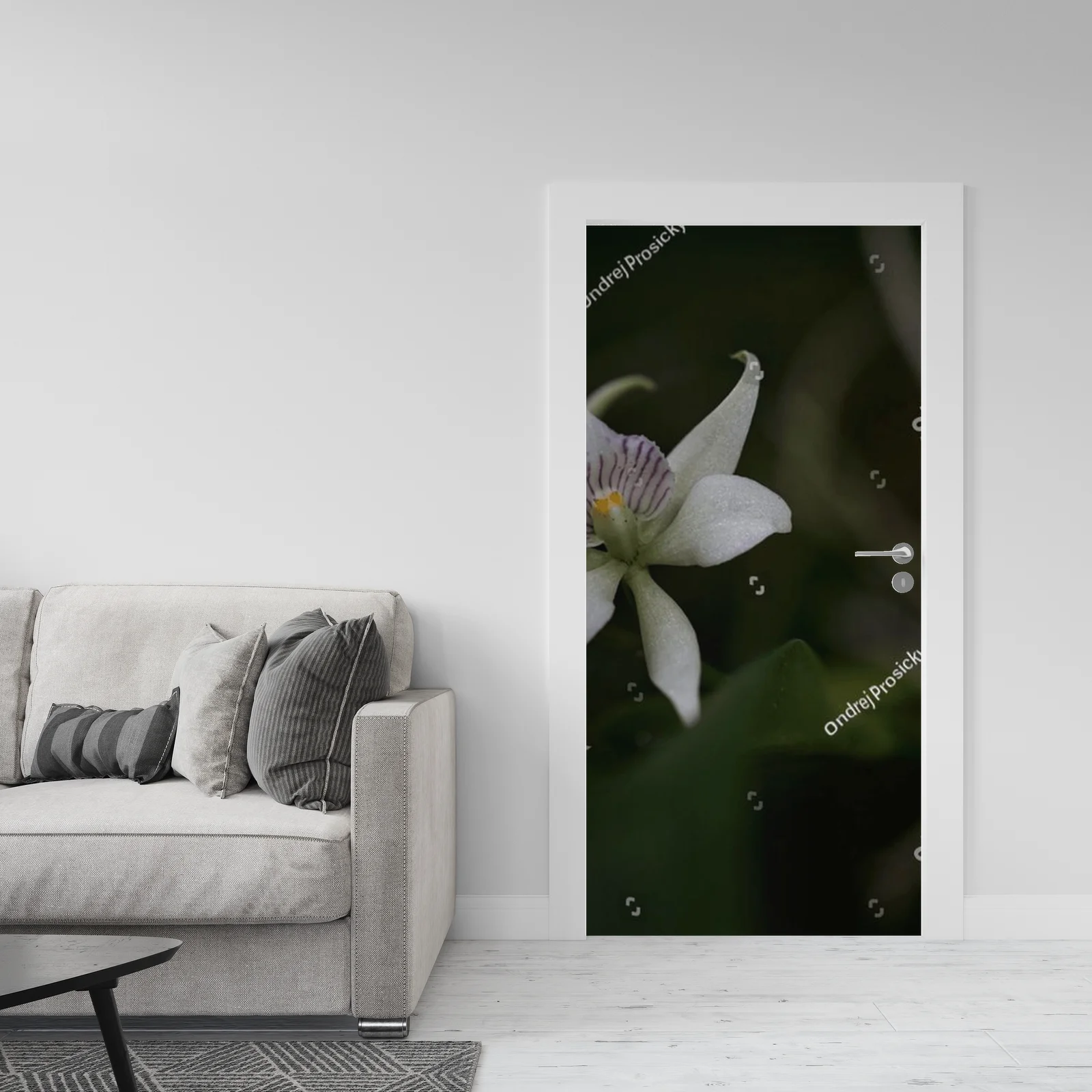 Urok dzikiej orchidei z tropikalnych lasów