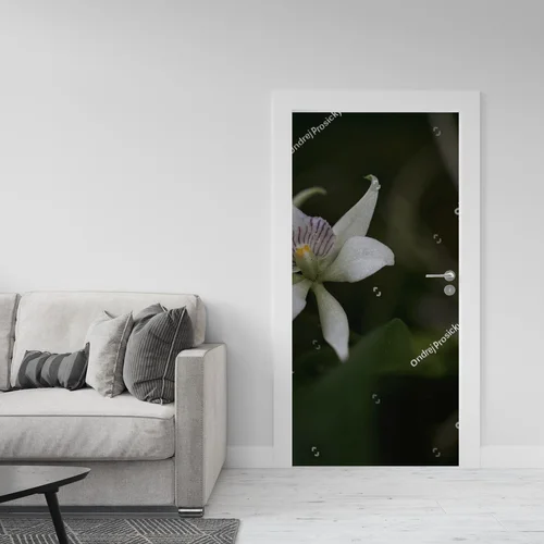 Urok dzikiej orchidei z tropikalnych lasów