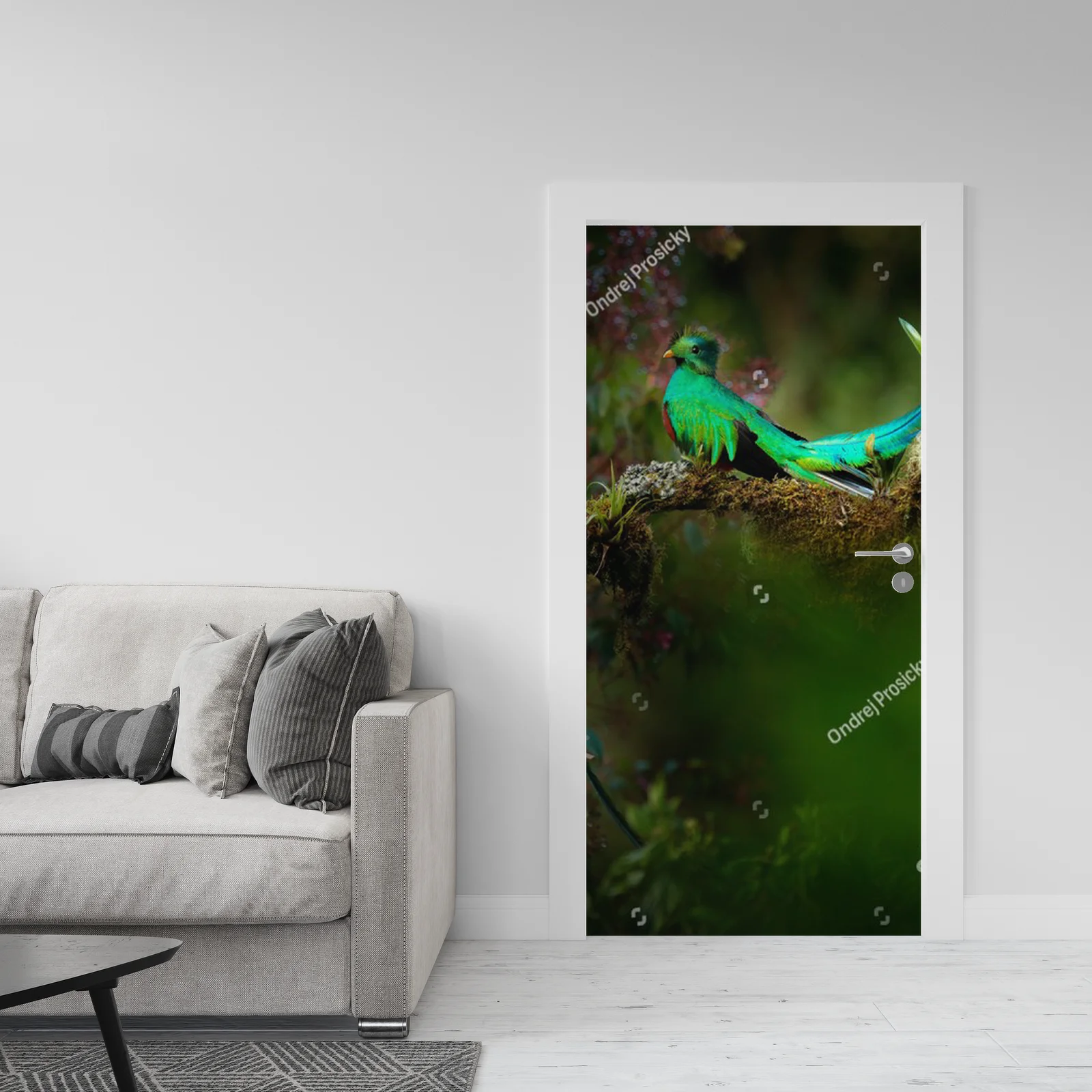 Tropikalna harmonia: quetzale w leśnej scenerii
