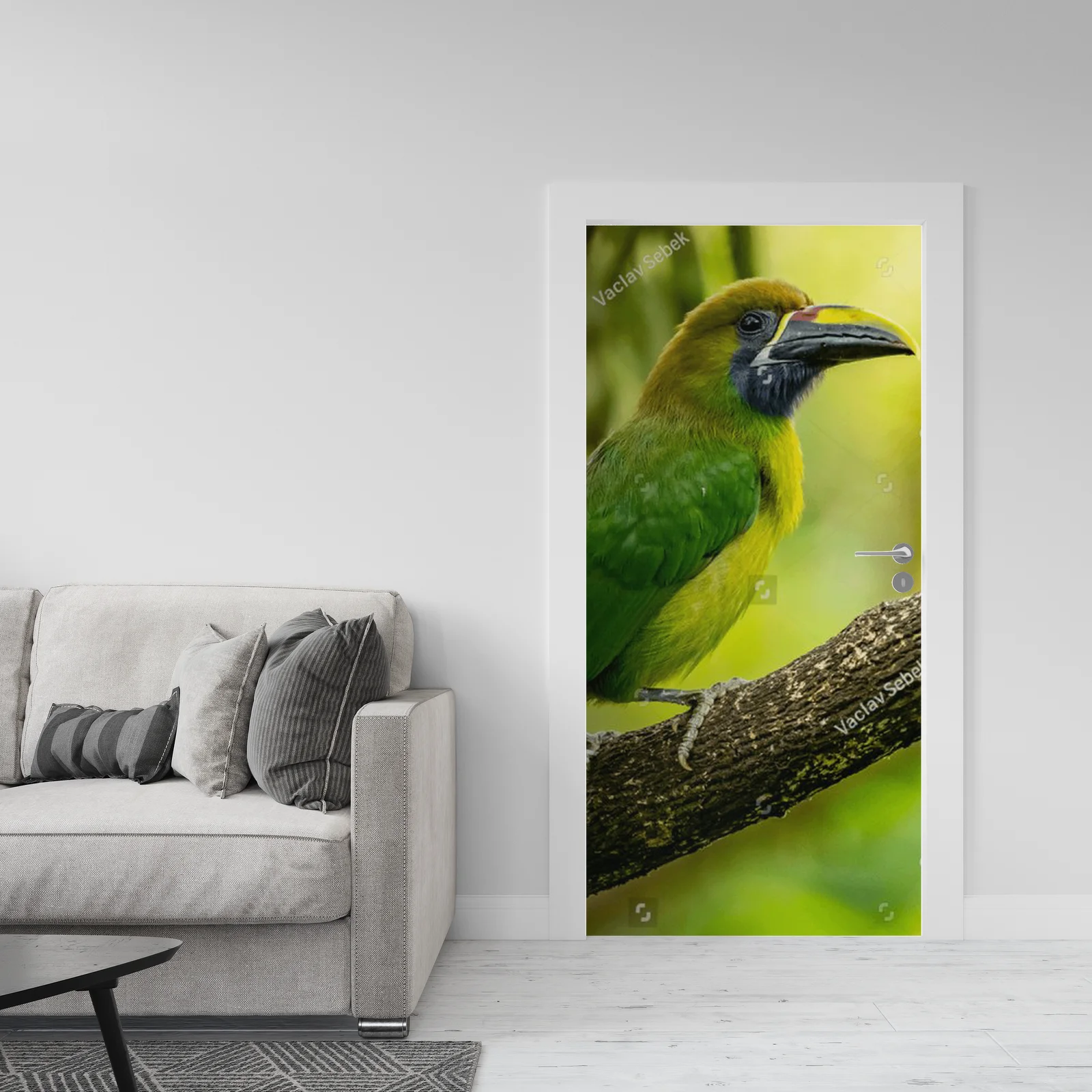 Tropical Adventure: The Crimson-rumped Toucanet