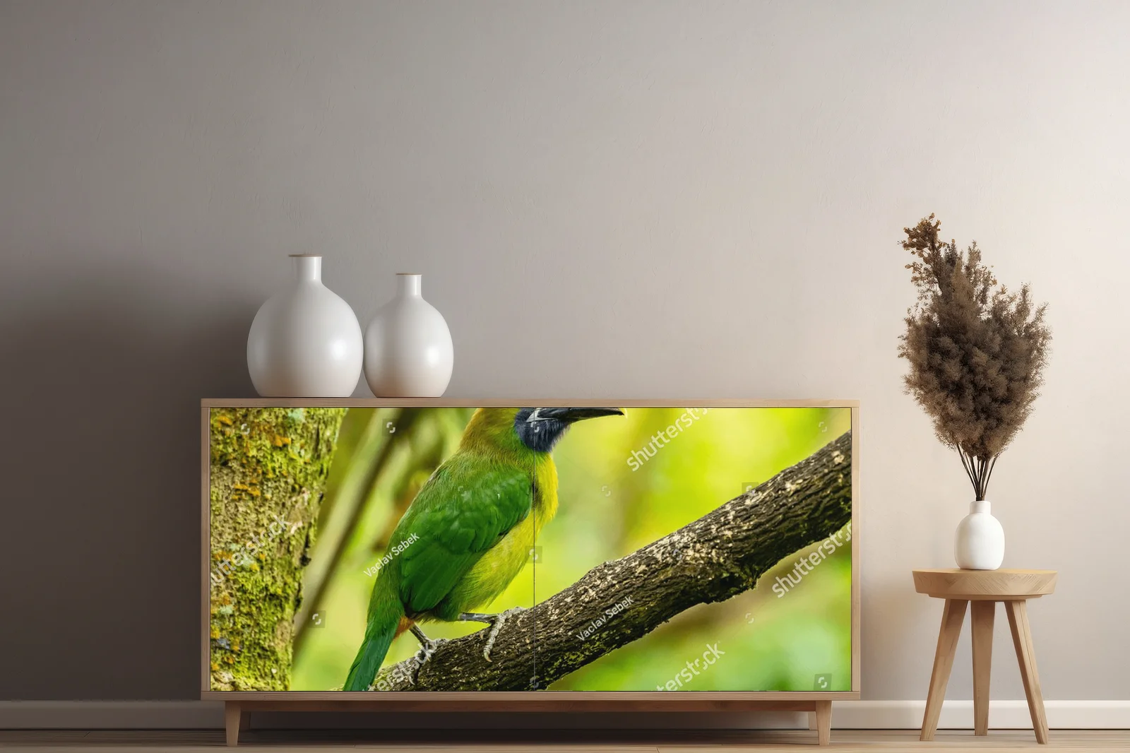 Tropical Adventure: The Crimson-rumped Toucanet