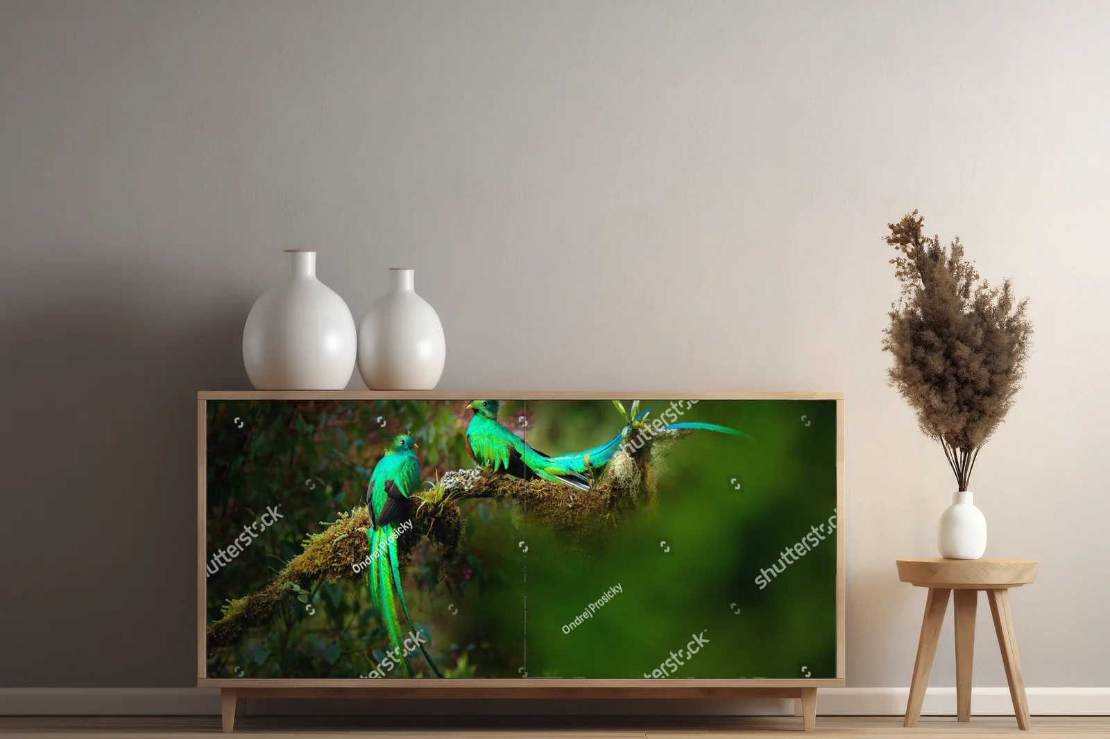 Tropikalna harmonia: quetzale w leśnej scenerii