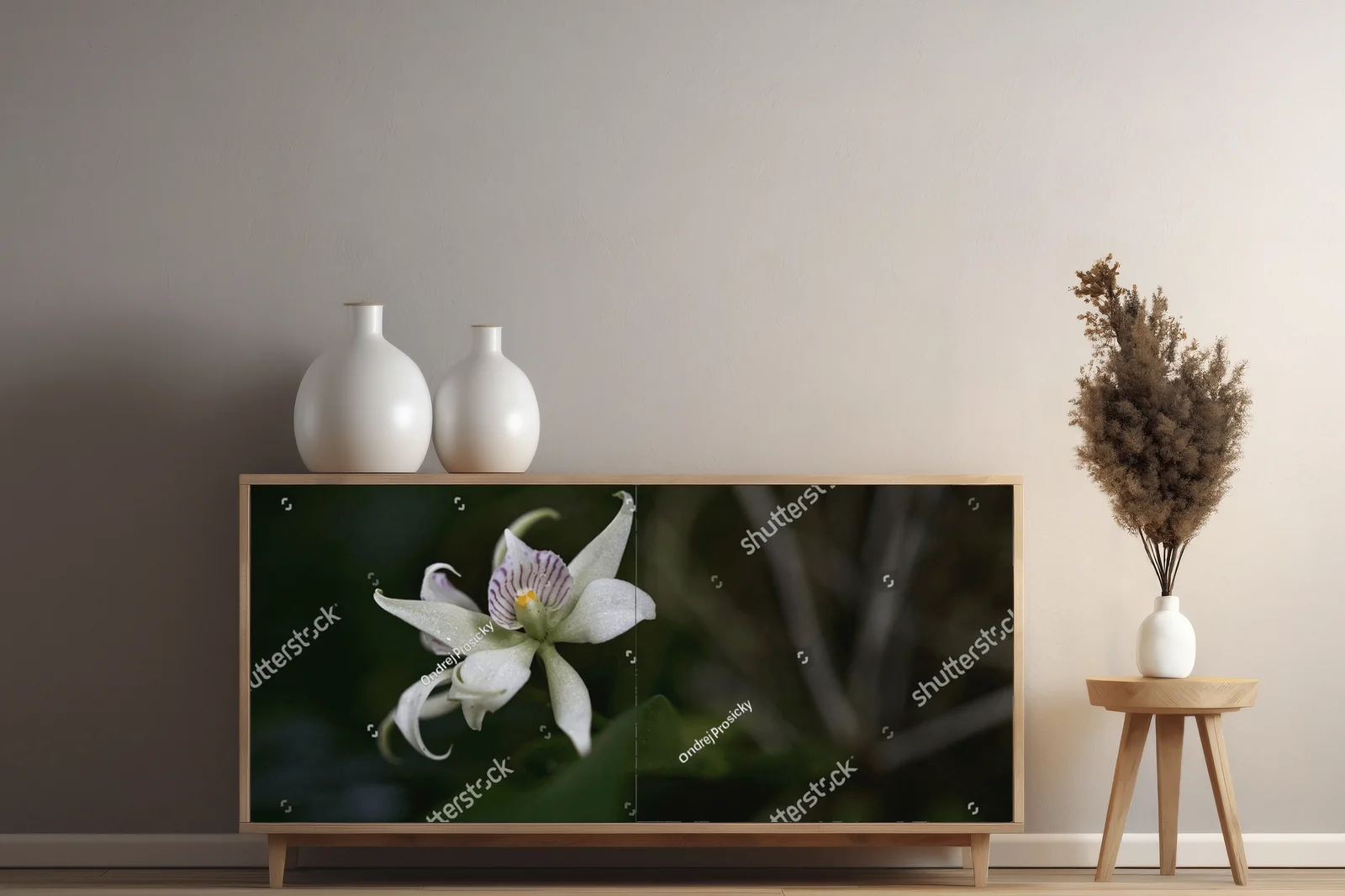 Urok dzikiej orchidei z tropikalnych lasów