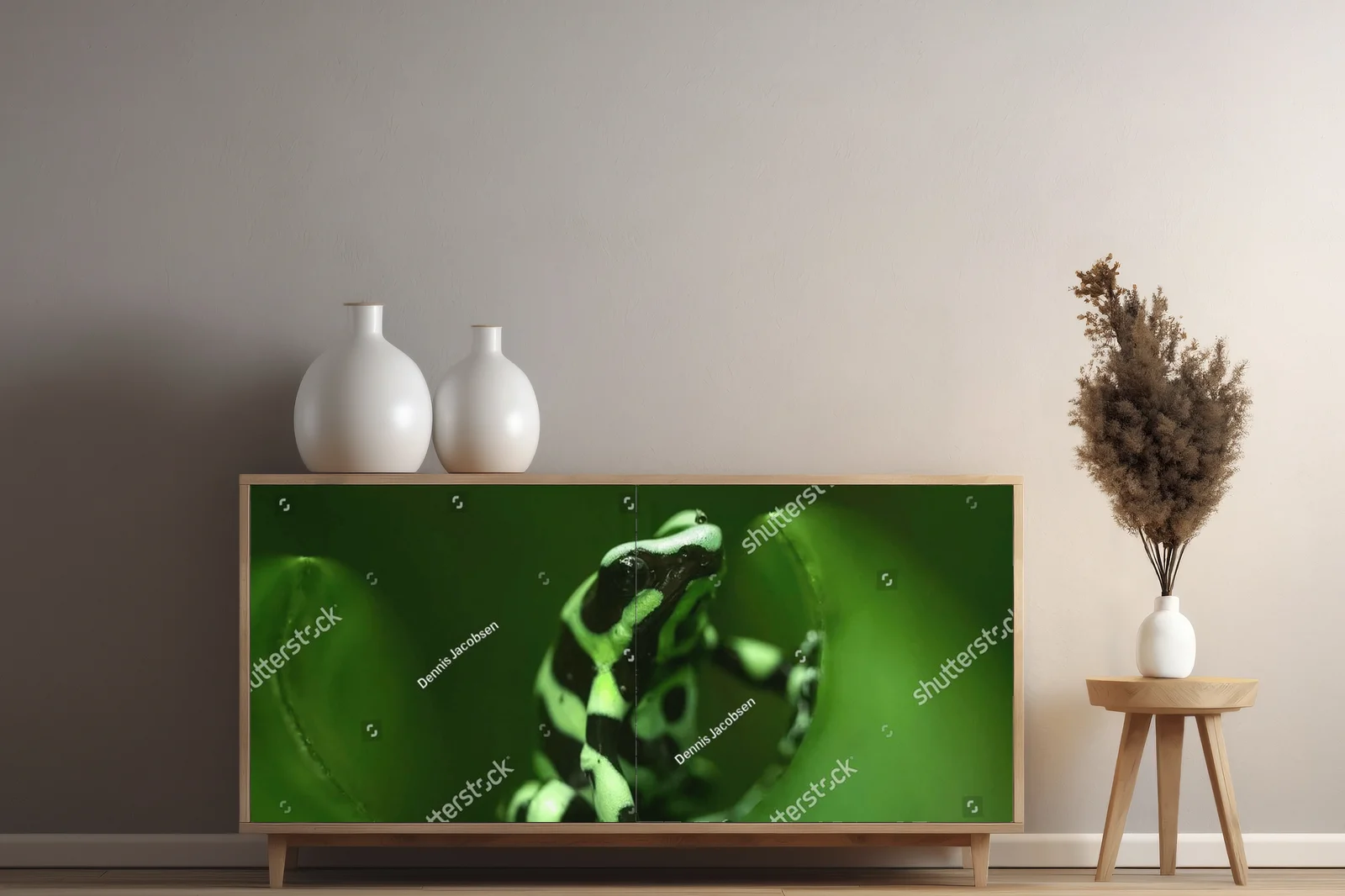 Zielono-czarne drzewołaz w naturalnym środowisku